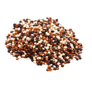 Semilla de Quinoa Tricolor
