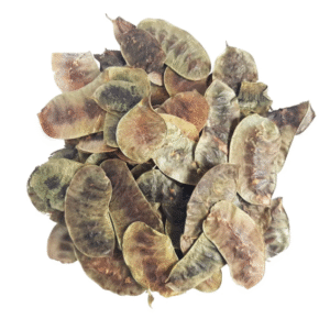 Acacia de la India Seca