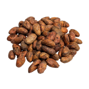 Cacao en Grano