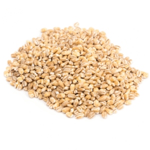 Cebada Perlada en Grano