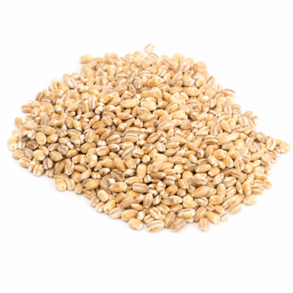 Cebada Perlada en Grano