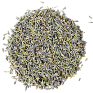 Flor de Lavanda Francesa