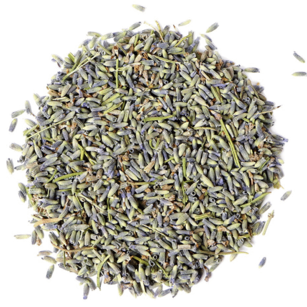 Flor de Lavanda Francesa
