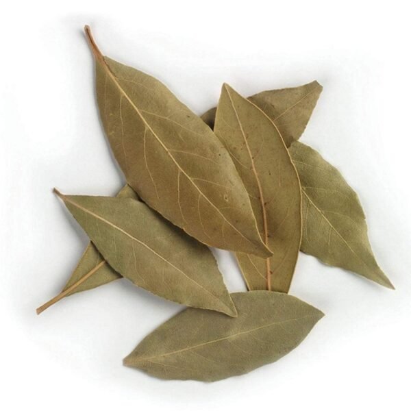 Laurel en Hojas