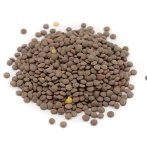 Lenteja Pardina en Grano