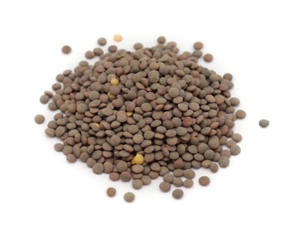 Lenteja Pardina en Grano