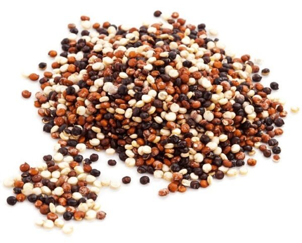 Semilla de Quinoa Tricolor