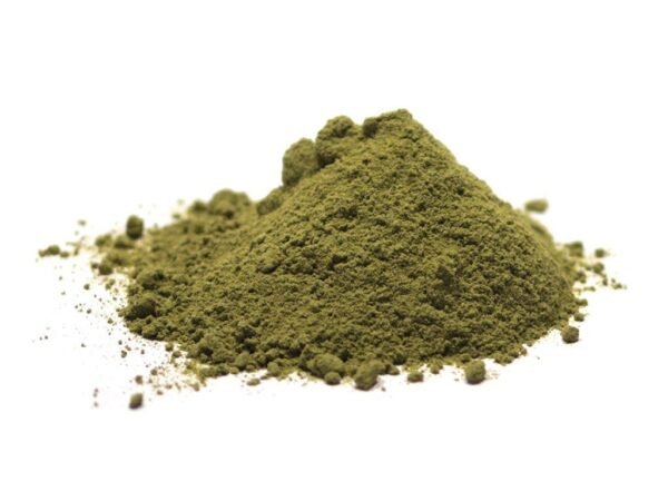 Moringa Molida