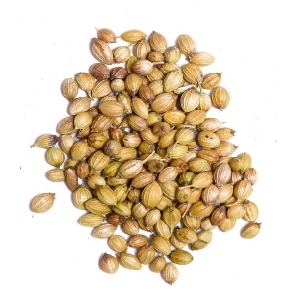 Semilla de Coriandro